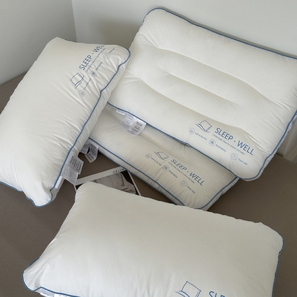 （总）伟邦枕芯 2024新款A类磨毛防羽布小蓝枕头枕芯