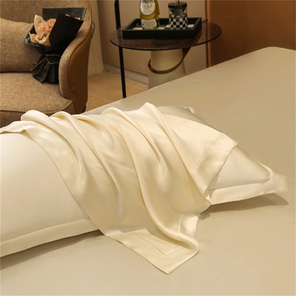 凯森家纺 2024新款双面真丝宽边款枕头套枕芯套 双面-太空白