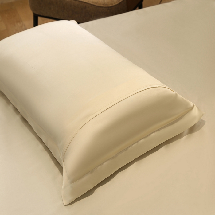 91家纺网 家纺一手货源 找家纺 凯森家纺 2024新款双面真丝宽边款枕头套枕芯套 双面-太空白