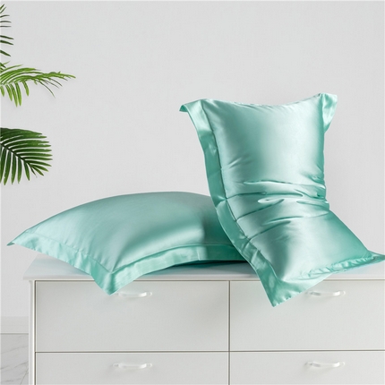凯森家纺 2024夏季冰丝枕套天丝枕芯套可水洗高仿真丝枕头套蚕丝枕巾 压线款-水蓝