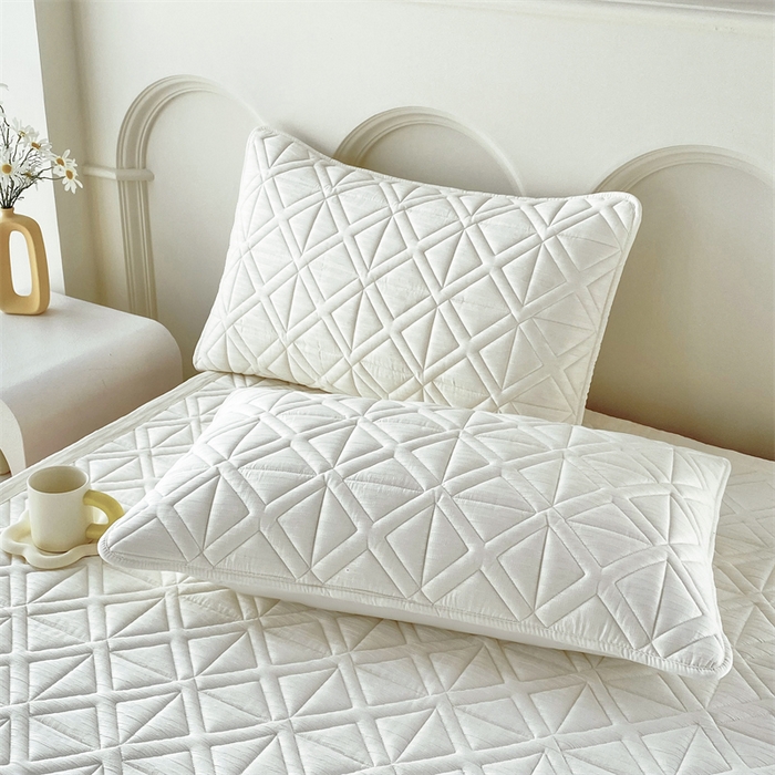 91家纺网 家纺一手货源 找家纺 鑫钰 2024新款A类水洗棉大豆夹棉床护垫 芊语-雅士白