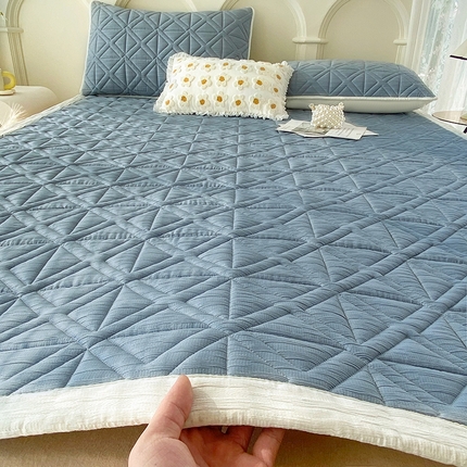 91家纺网 家纺一手货源 找家纺 （总）鑫钰 2024新款A类水洗棉大豆夹棉床护垫