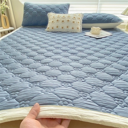 （总）鑫钰 2024新款A类水洗棉大豆夹棉床护垫