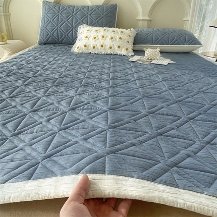 鑫钰 2024新款A类水洗棉大豆夹棉床护垫 芊语-宾利蓝