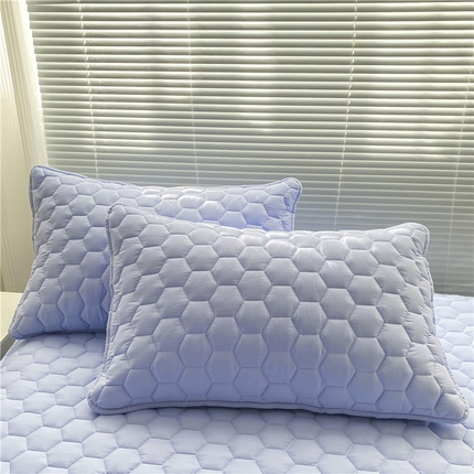  九亭家纺 2024新款全棉夹棉防口水防头油枕套 防水-请雅兰