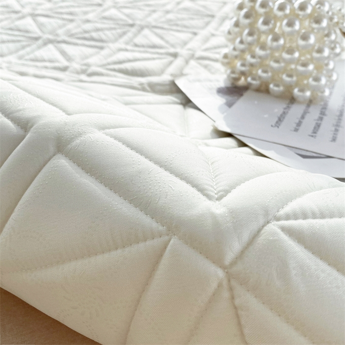 91家纺网 家纺一手货源 找家纺 鑫钰 2024新款A类水洗棉大豆夹棉床护垫 芊语-雅士白