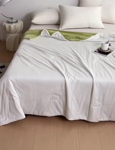 91家纺网 家纺一手货源 找家纺 亚龙工厂店 2024新款两面派A类抗菌冻冻被 白+绿