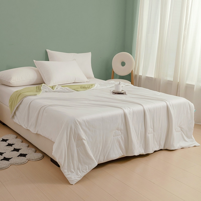 91家纺网 家纺一手货源 找家纺 亚龙工厂店 2024新款两面派A类抗菌冻冻被 白+绿