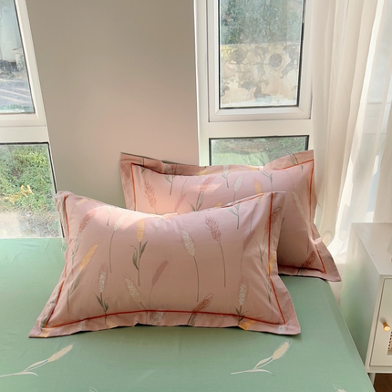 91家纺网 家纺一手货源 找家纺 （总）艾迪尚 2025新款133X76宽幅全棉印花单枕套