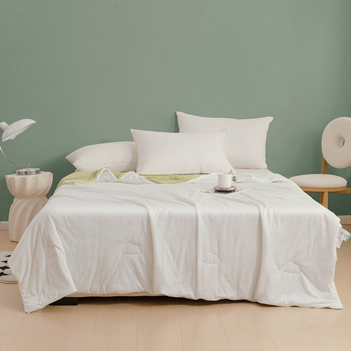 91家纺网 家纺一手货源 找家纺 亚龙工厂店 2024新款两面派A类抗菌冻冻被 白+绿