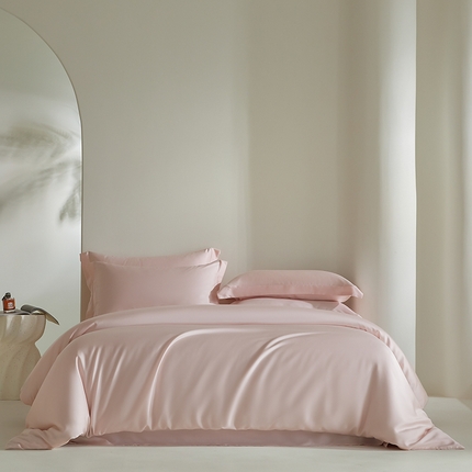 （总）618家纺 2024新款A类60S100支兰精天丝四件套-简约系列 天丝简约俏佳人