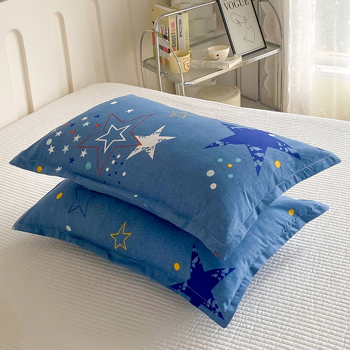91家纺网 家纺一手货源 找家纺 梵巢 芦荟棉枕套磨毛化纤枕套48*74cm 星空