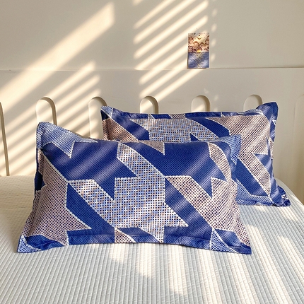 梵巢 芦荟棉枕套磨毛化纤枕套48*74cm 伯格