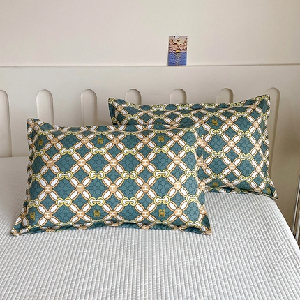 梵巢 芦荟棉枕套磨毛化纤枕套48*74cm 时光之城