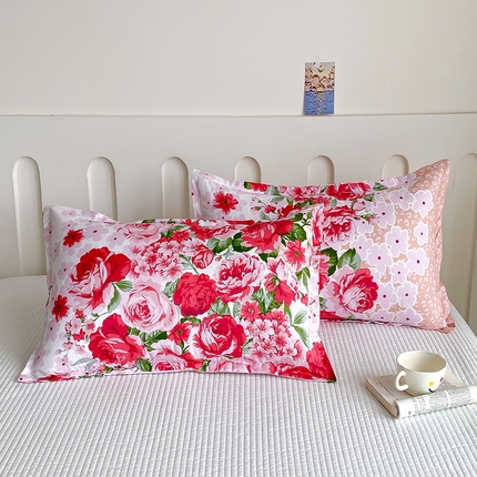 梵巢 芦荟棉枕套磨毛化纤枕套48*74cm 梦想花园