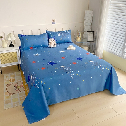 梵巢家纺 2025新款加厚芦荟棉床单磨毛化纤床单 星空
