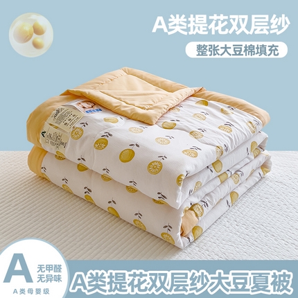芯恋家居 2025新款提花泡泡棉夏被春秋被 小橙都