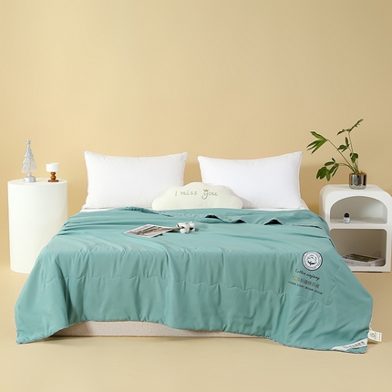 91家纺网 家纺一手货源 找家纺 （总）芯恋家居 2025新款水洗100％长绒棉新疆棉花夏被春秋被