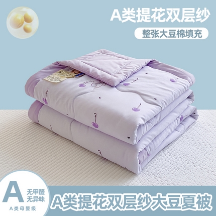 芯恋家居 2025新款提花泡泡棉夏被春秋被 小樱桃
