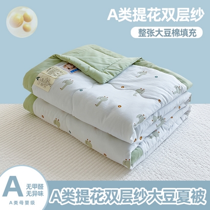 芯恋家居 2025新款提花泡泡棉夏被春秋被 天鹅之梦