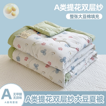 91家纺网 家纺一手货源 找家纺 芯恋家居 2025新款提花泡泡棉夏被春秋被 春色满园