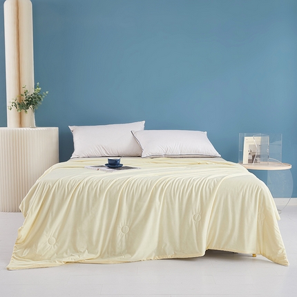 91家纺网 家纺一手货源 找家纺 （总）圣尔雅家纺 2025新款凉感丝夏被