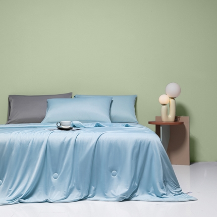 91家纺网 家纺一手货源 找家纺 莱登卡奴 2025新款A类云母凉感丝系列-单夏被 湖兰