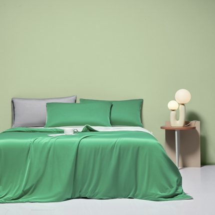 91家纺网 家纺一手货源 找家纺 莱登卡奴 2025新款A类云母凉感丝系列-单夏被 西瓜拼浅绿