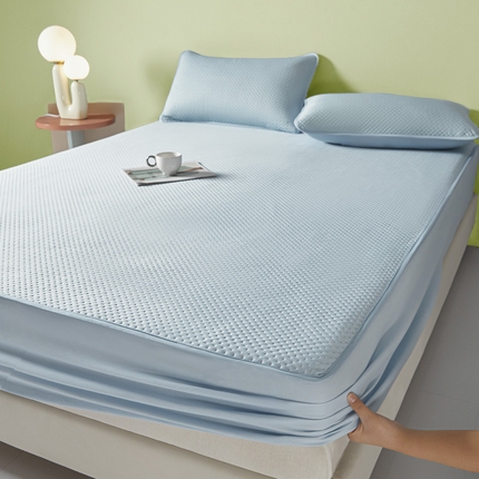 91家纺网 家纺一手货源 找家纺 莱登卡奴 2025新款A类云母凉感丝系列-床笠款凉席 湖兰