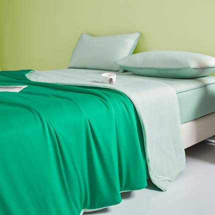 91家纺网 家纺一手货源 找家纺 （总）莱登卡奴 2025新款A类云母凉感丝夏被四件套夏凉被空调被子被芯