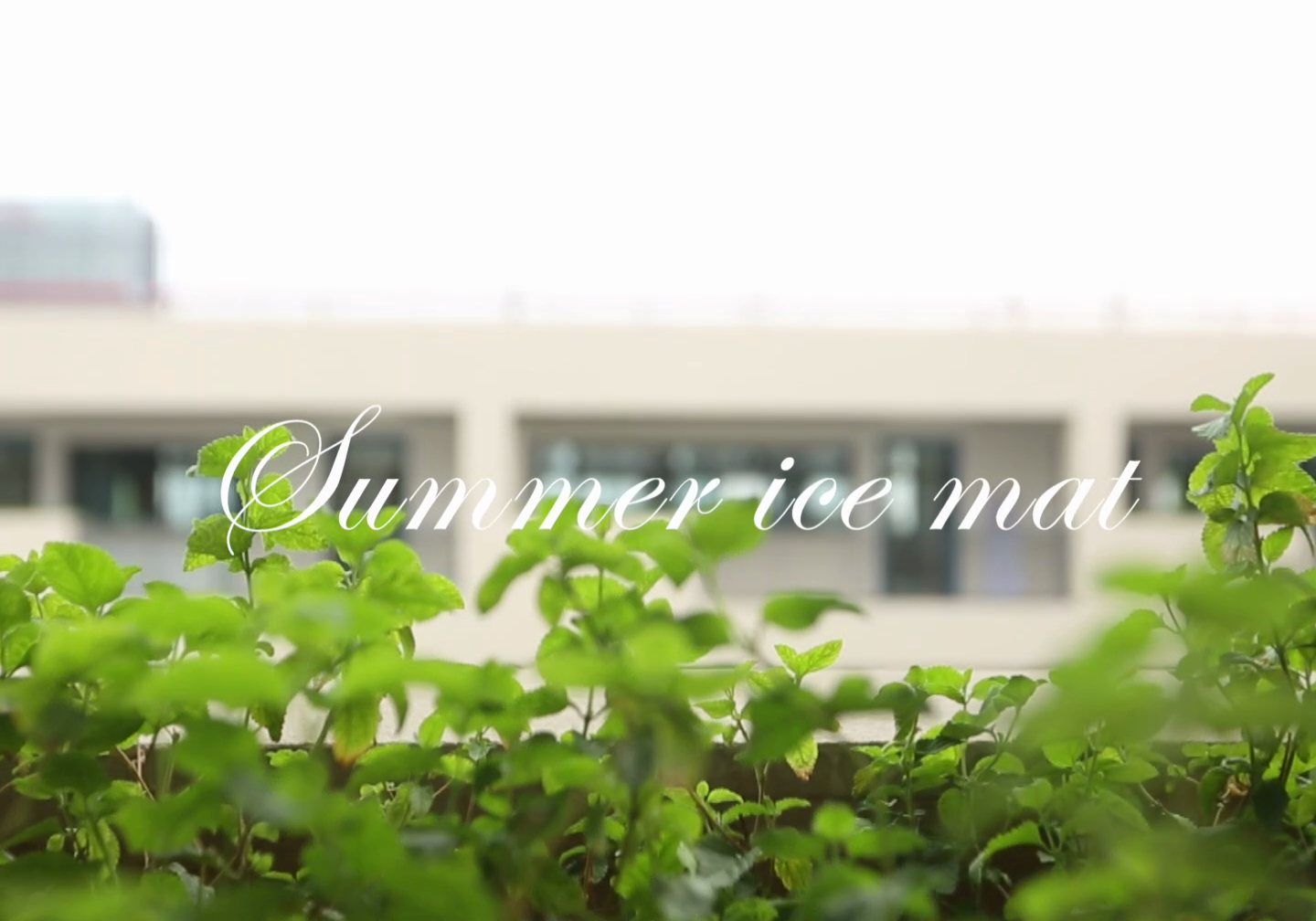 91家纺网 家纺一手货源 找家纺 宅部落 2024新款学生宿舍大版冰丝席 熊宝宝