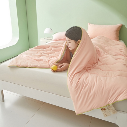 91家纺网 家纺一手货源 找家纺 董韵家纺 2025新款A类氨纶凉感丝西瓜抗菌夏被 撞色-玉+灰