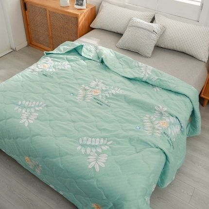 91家纺网 家纺一手货源 找家纺 被多多 2024新款清新印花亲肤绒夏被 清新物语