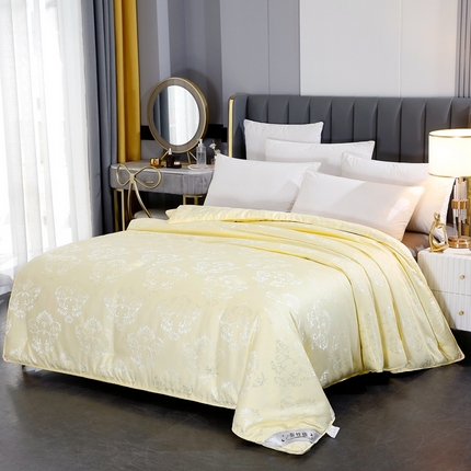 91家纺网 家纺一手货源 找家纺 （总）畅通 2024新款直播网销爆款金提花子母被空调夏凉冬季春秋被