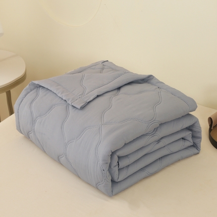 被多多 2025新款水洗棉抑菌防螨纯色夏被 安格斯灰