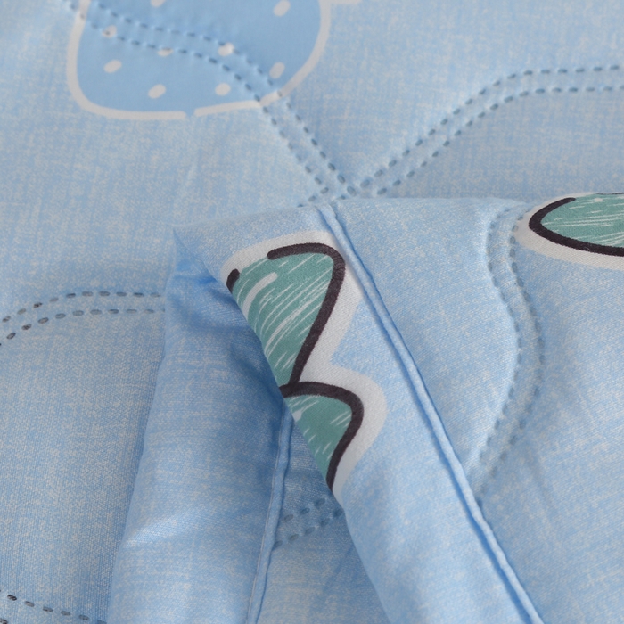 91家纺网 家纺一手货源 找家纺 被多多 2024新款清新印花亲肤绒夏被 莓烦恼-蓝