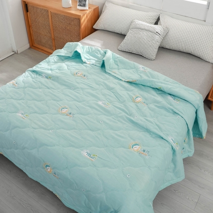被多多 2024新款清新印花亲肤绒夏被 薄荷清凉