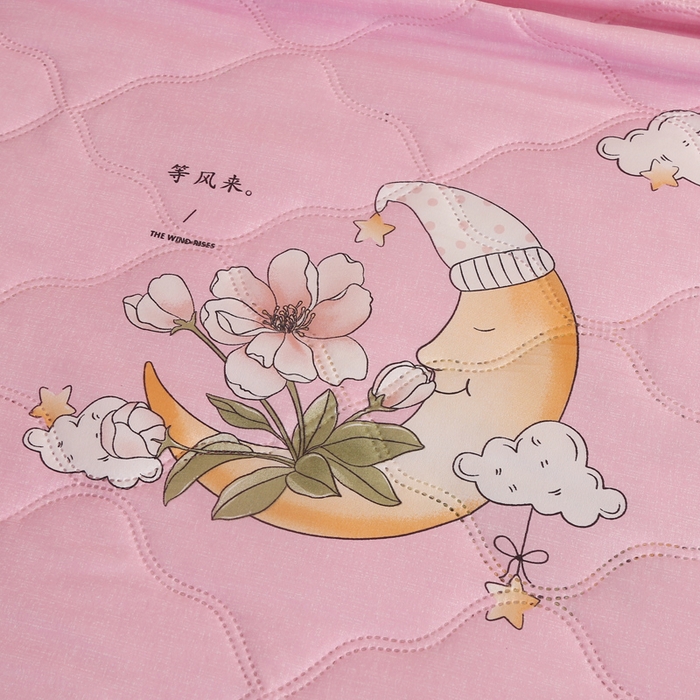 91家纺网 家纺一手货源 找家纺 被多多 2024新款清新印花亲肤绒夏被 晚安