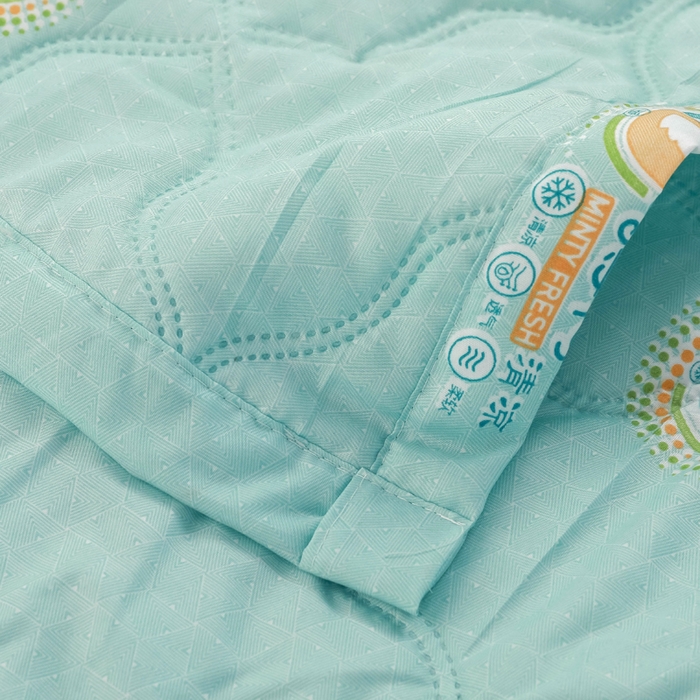 91家纺网 家纺一手货源 找家纺 被多多 2024新款清新印花亲肤绒夏被 薄荷清凉
