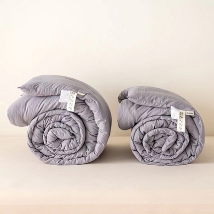 凯森家纺 2024新款A类原棉被芯大豆被子学生被宿舍寝室春秋被冬被 灰色