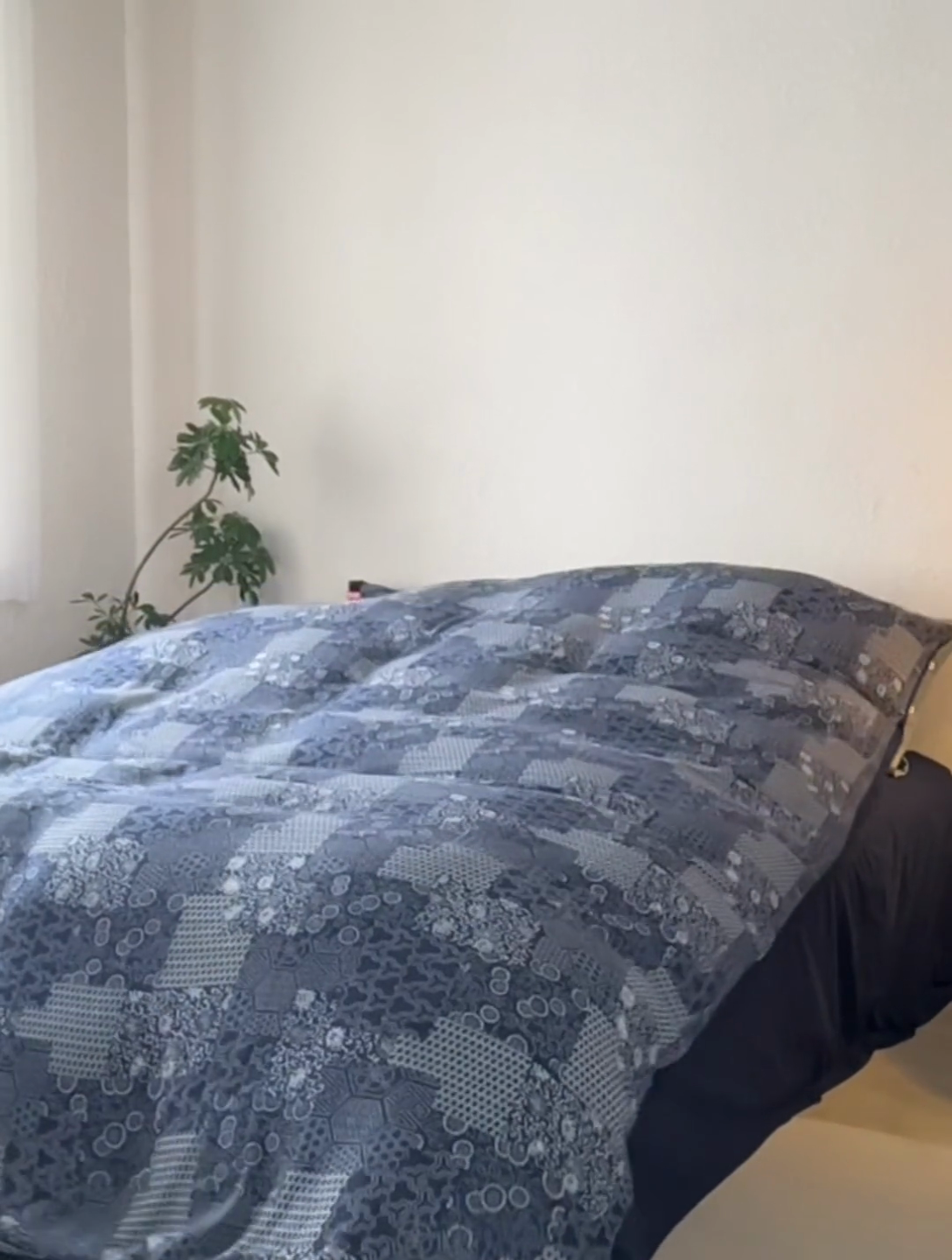 91家纺网 家纺一手货源 找家纺 安莱生活 2024年新品高端双层纱大提花工艺款缤纷花妍纽扣款 缤纷花妍纽扣款-藏青