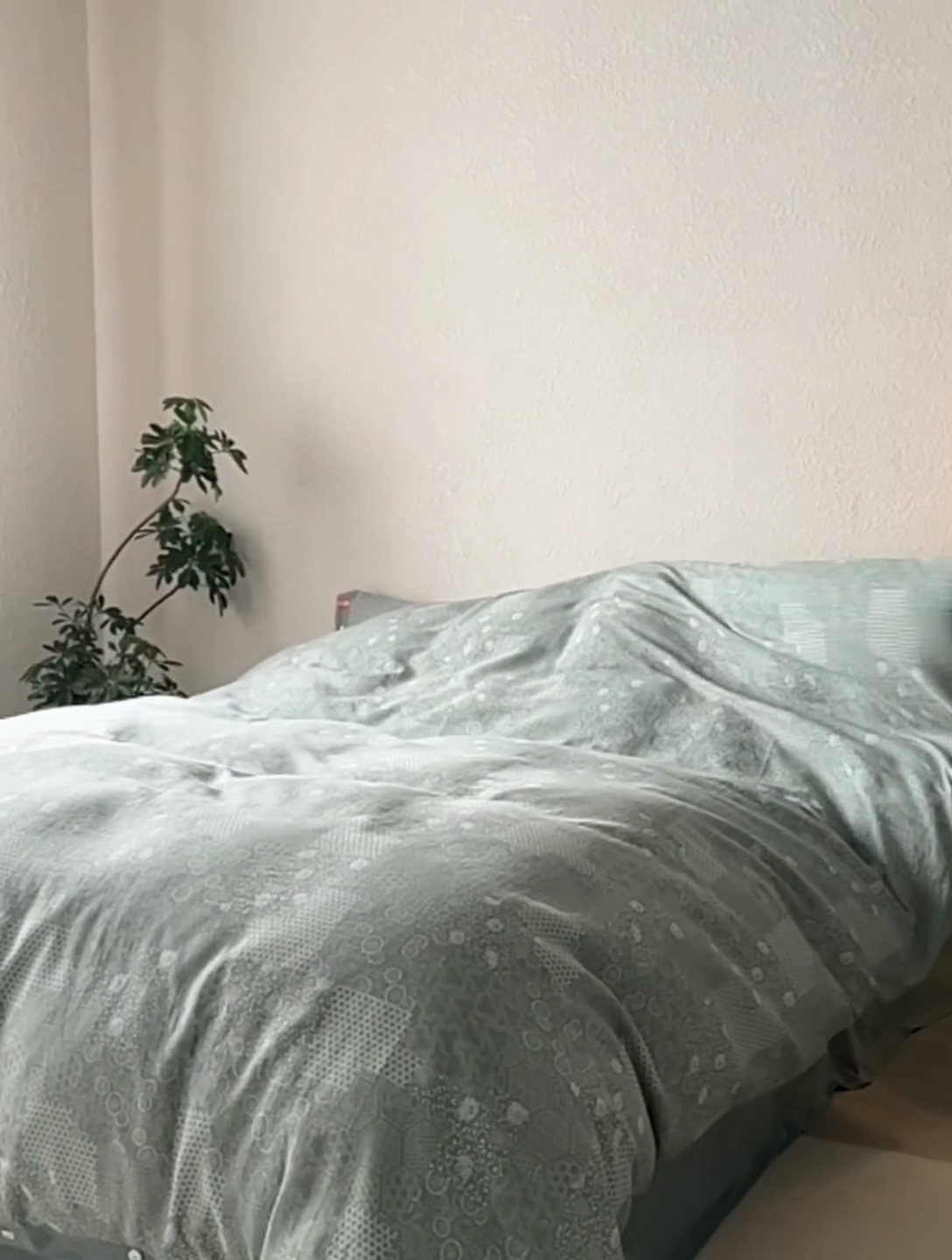 91家纺网 家纺一手货源 找家纺 （总）安莱生活 2024年新品高端双层纱大提花工艺款缤纷花妍纽扣款