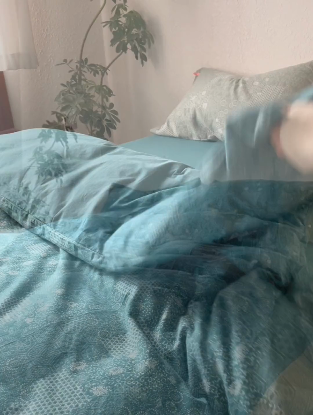 91家纺网 家纺一手货源 找家纺 安莱生活 2024年新品高端双层纱大提花工艺款缤纷花妍纽扣款 缤纷花妍纽扣款-乌兰