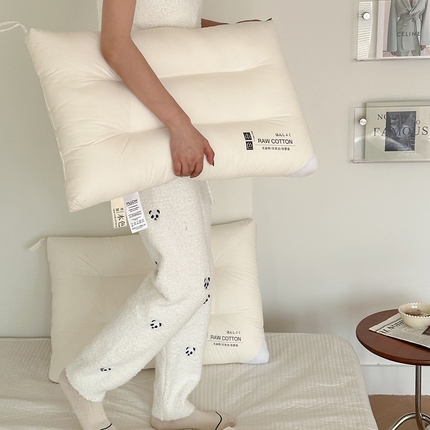 （总）伟邦枕芯 2024新款质原本色水洗枕