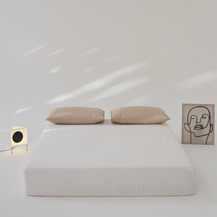 91家纺网 家纺一手货源 找家纺 （总）8小时 2024新款40S懒虫四件套系列---单床笠