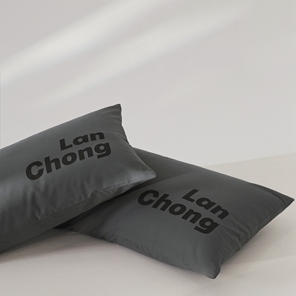 91家纺网 家纺一手货源 找家纺 8小时 2024新款40S懒虫四件套系列---枕头 懒虫-炭黑