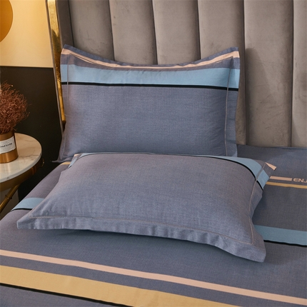 尚帛 2024新款新疆棉磨毛印花单品枕套 致青春-灰