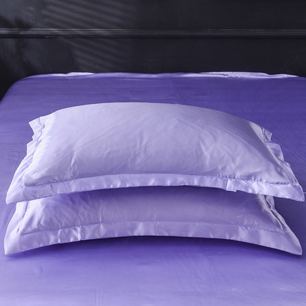 91家纺网 家纺一手货源 找家纺 （总）6经年 2025新款特价款丝绸水洗真丝冰丝单枕套 直播爆款