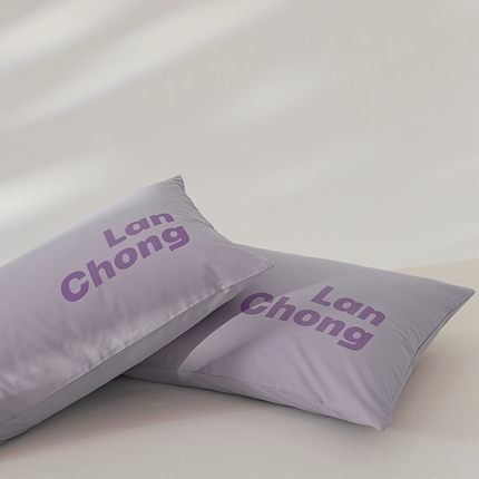 91家纺网 家纺一手货源 找家纺 8小时 2024新款40S懒虫四件套系列---枕头 懒虫-紫