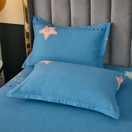 91家纺网 家纺一手货源 找家纺 （总）尚帛 2024新款新疆棉磨毛印花单品枕套